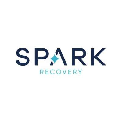 Spark Recovery 